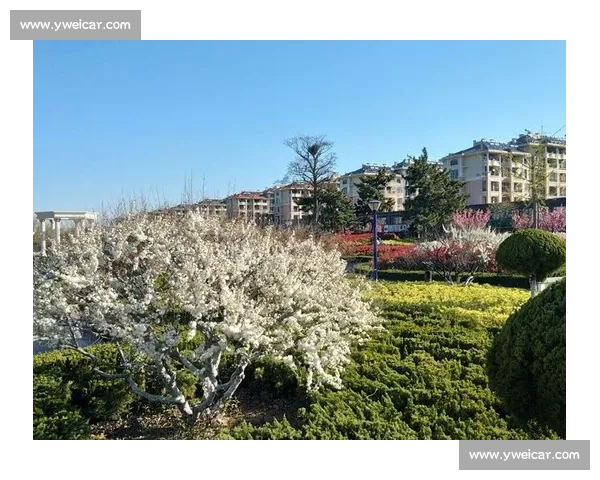 威海：我的第二故乡，一座被阳光洗净的精致之城